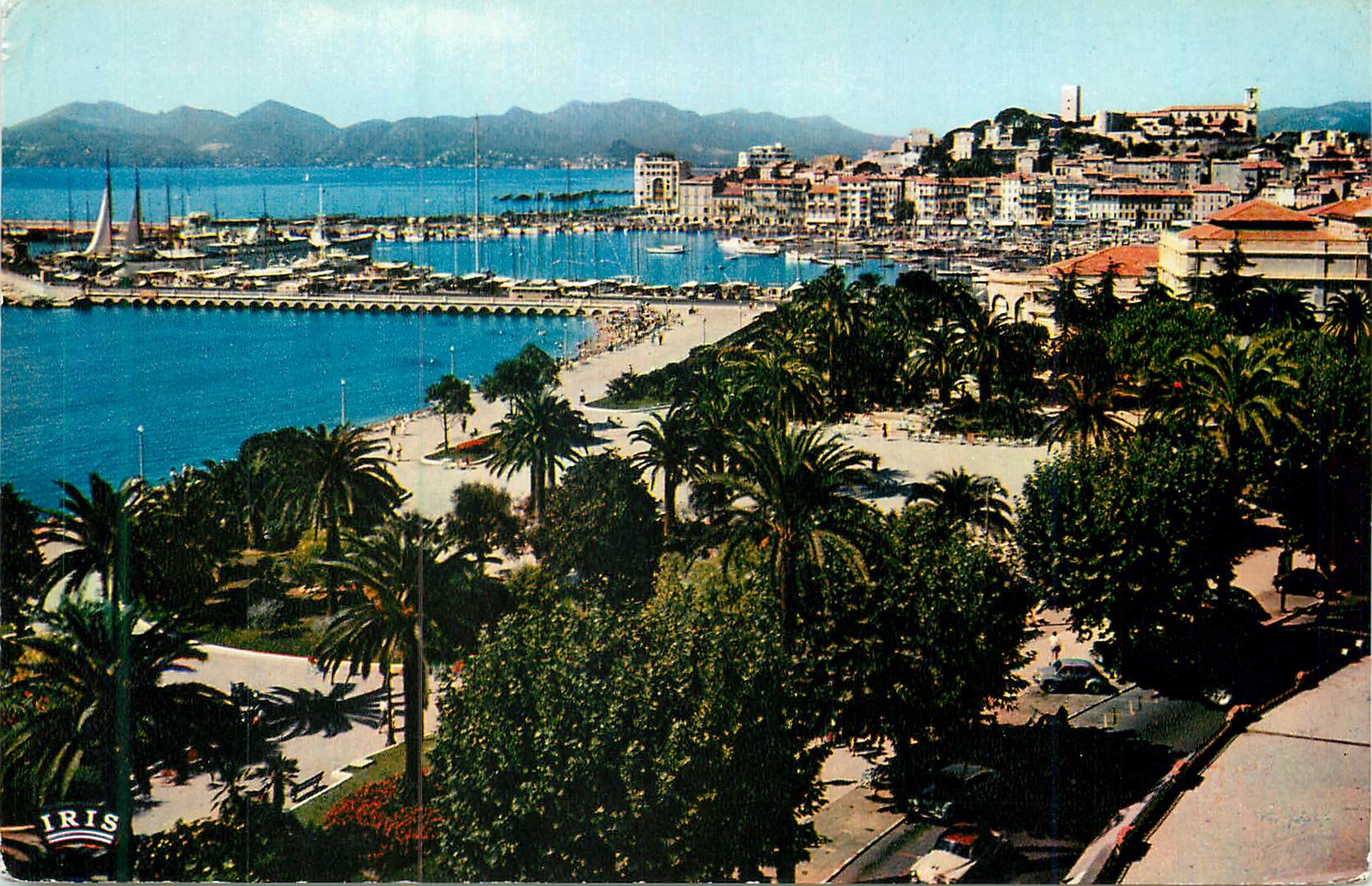 CPM la Cote d'Azur French Riviera Cannes le Jardin et le Suquet
