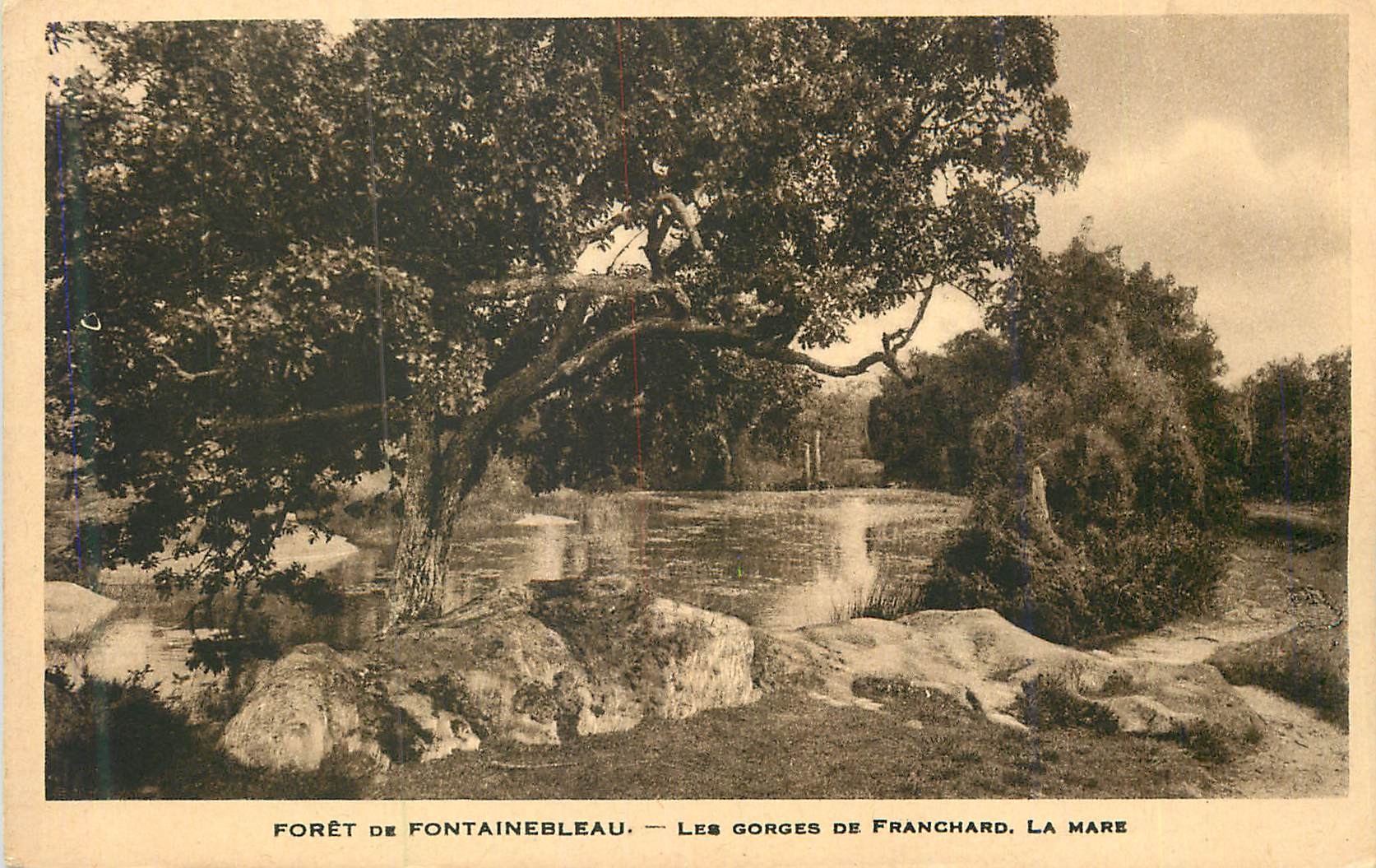 Forêt de Fontainebleau — Les gorges de Franchard, La Mare