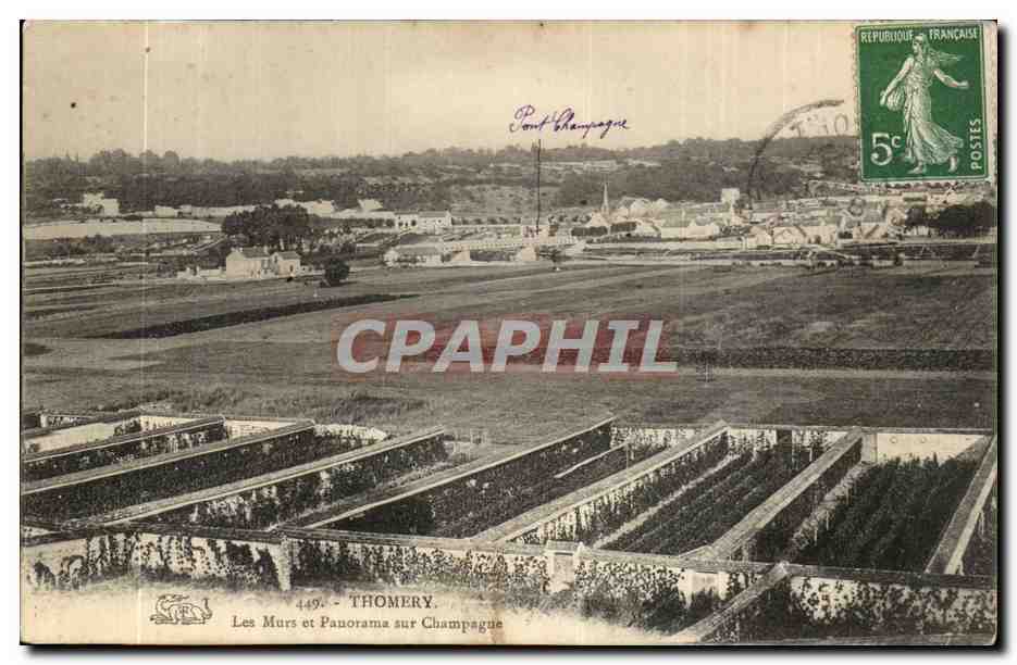 Thomery-Les Murs et Panorama sur Champagne- CPA