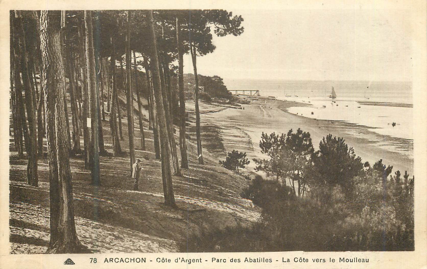 Arcachon - Côte d'Argent - Parc des Abatilles - La Côte vers le Moulleau