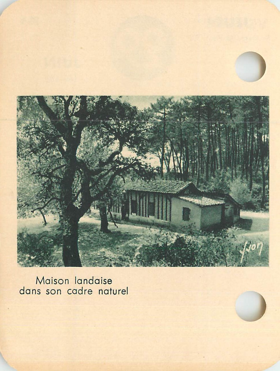 Image Maison Landaise dans son Cadre Naturel