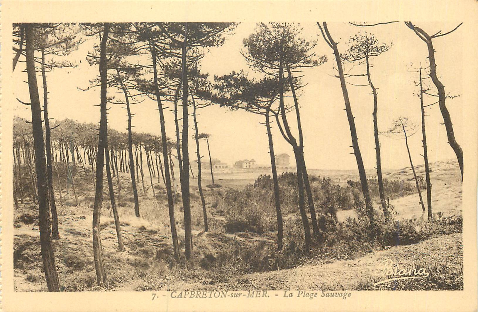 CPA Capbreton sur Mer la Plage Sauvage