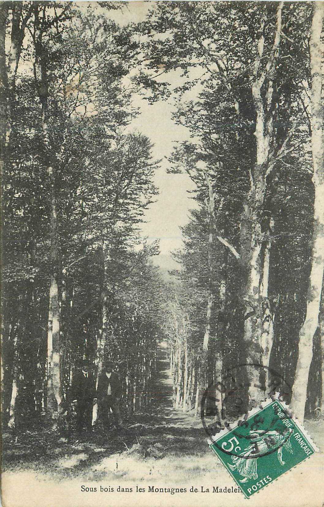 Sous bois dans les Montagnes de La Madeleine — Mme Lalay-Besacier, édit., Roanne