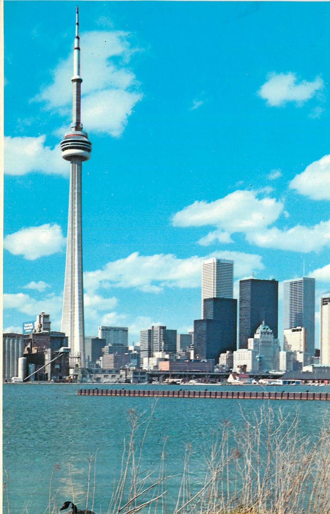 CPM Toronto la Tour CN l'Immeuble a Structure Autoportante le plus Eleve 1815 Pieds de Hauteur