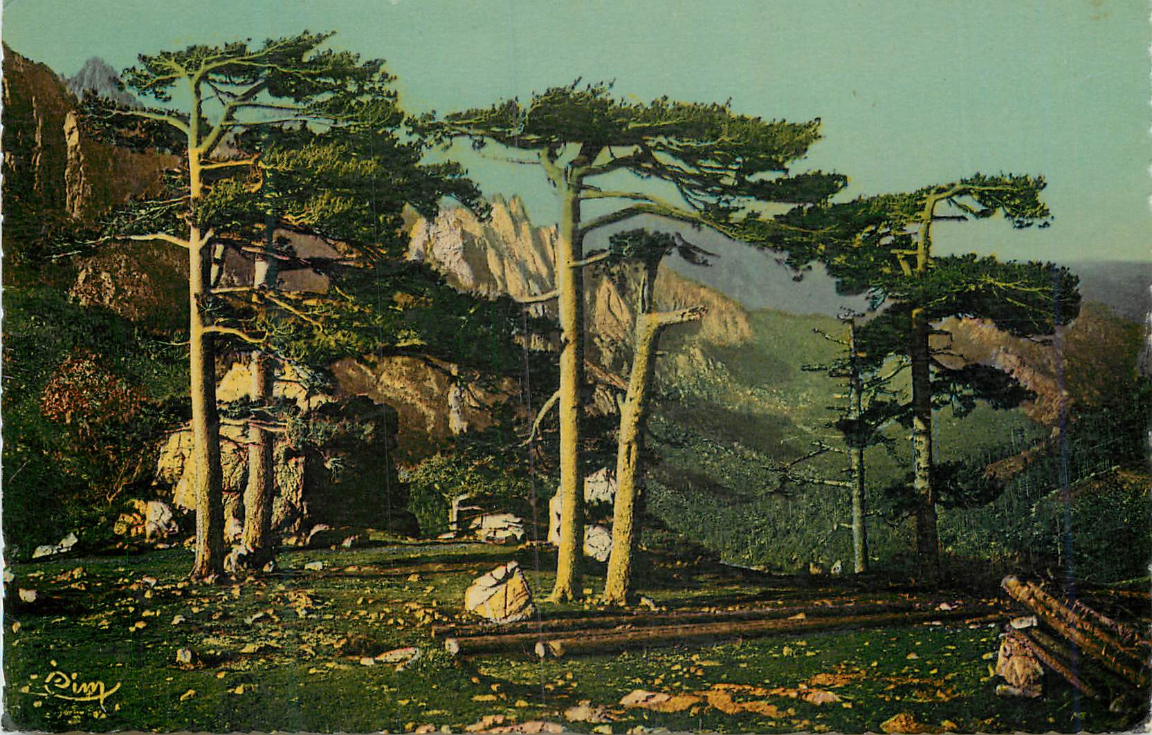 Bavella (Corse) — Les Pins — Combiér Imp. Macon