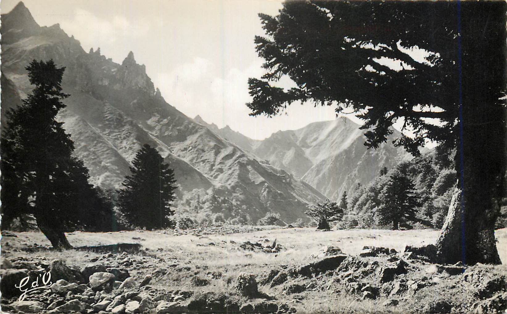 CPM l'Auvergne Vallee et Gorges d'Enfer (alt 1325m) au Pied du Sancy