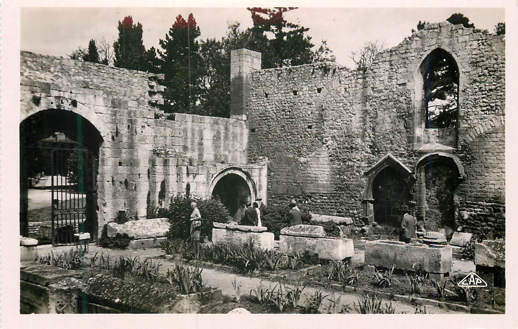 CPM Arles Ruines de St Honorat des Aliscamps Les Tombeaux