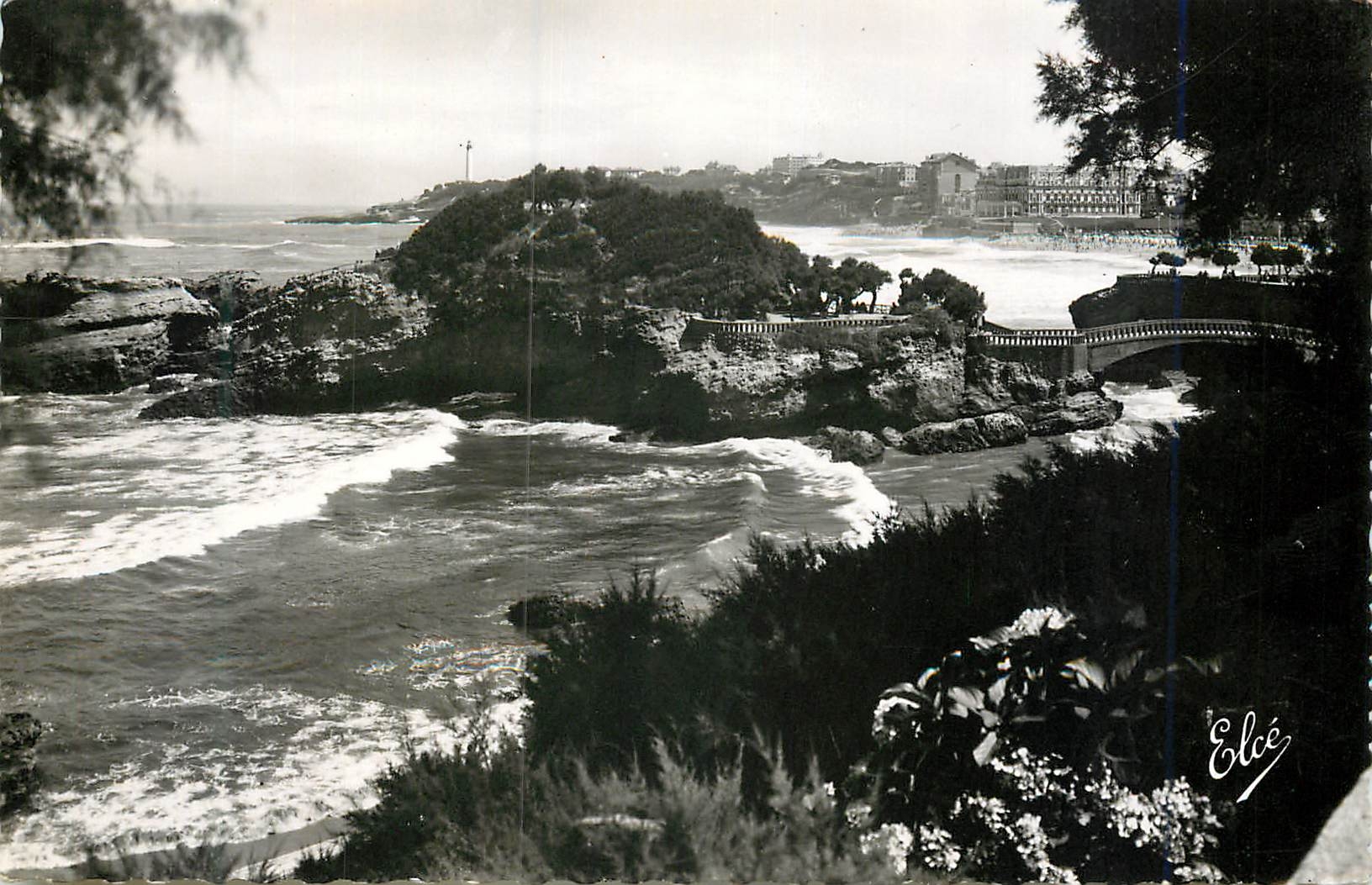 CPM Biarritz Basses Pyrenees) Au Travers des Tamaris Vue Sur le Basta et la Grande Plage