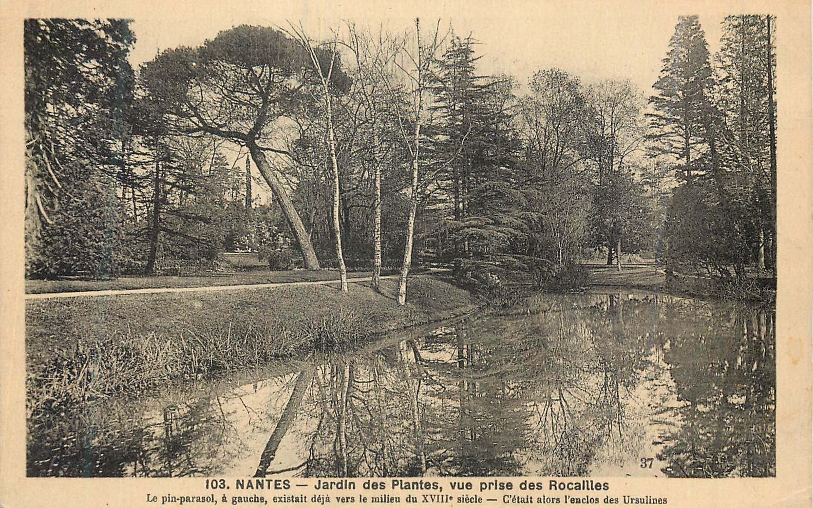 CPA Nantes Jardin des Plantes Vue Prise des Rocailles