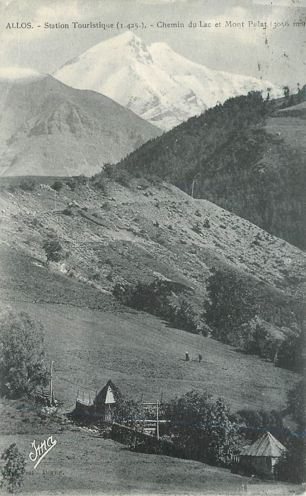 CPA Allos Station Touristique (1425) Chemin du Lac et Mont Polat 3056 m