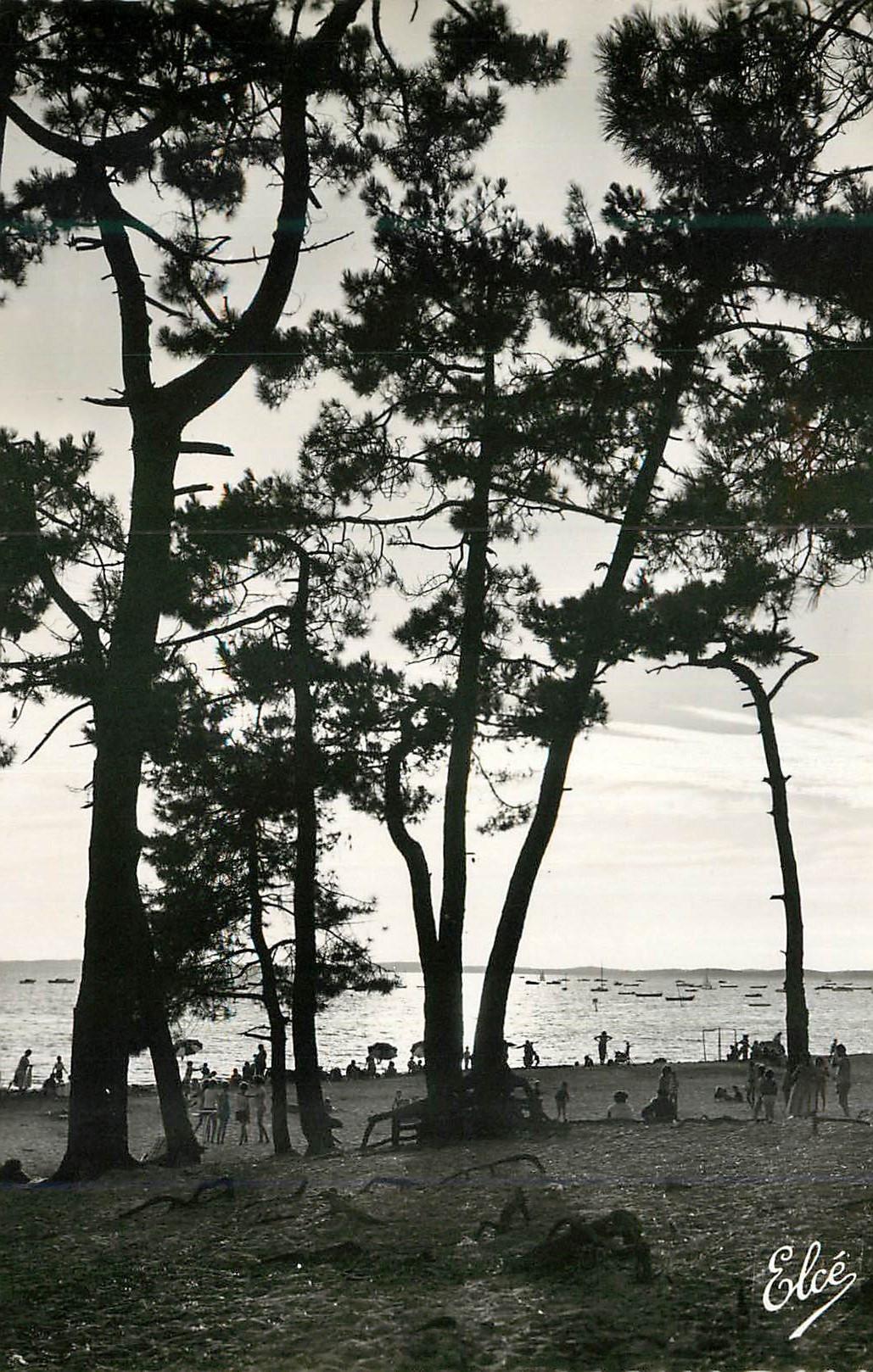 CPM Bassin d'Arcachon (Gironde) Crepuscule sur le Bassin