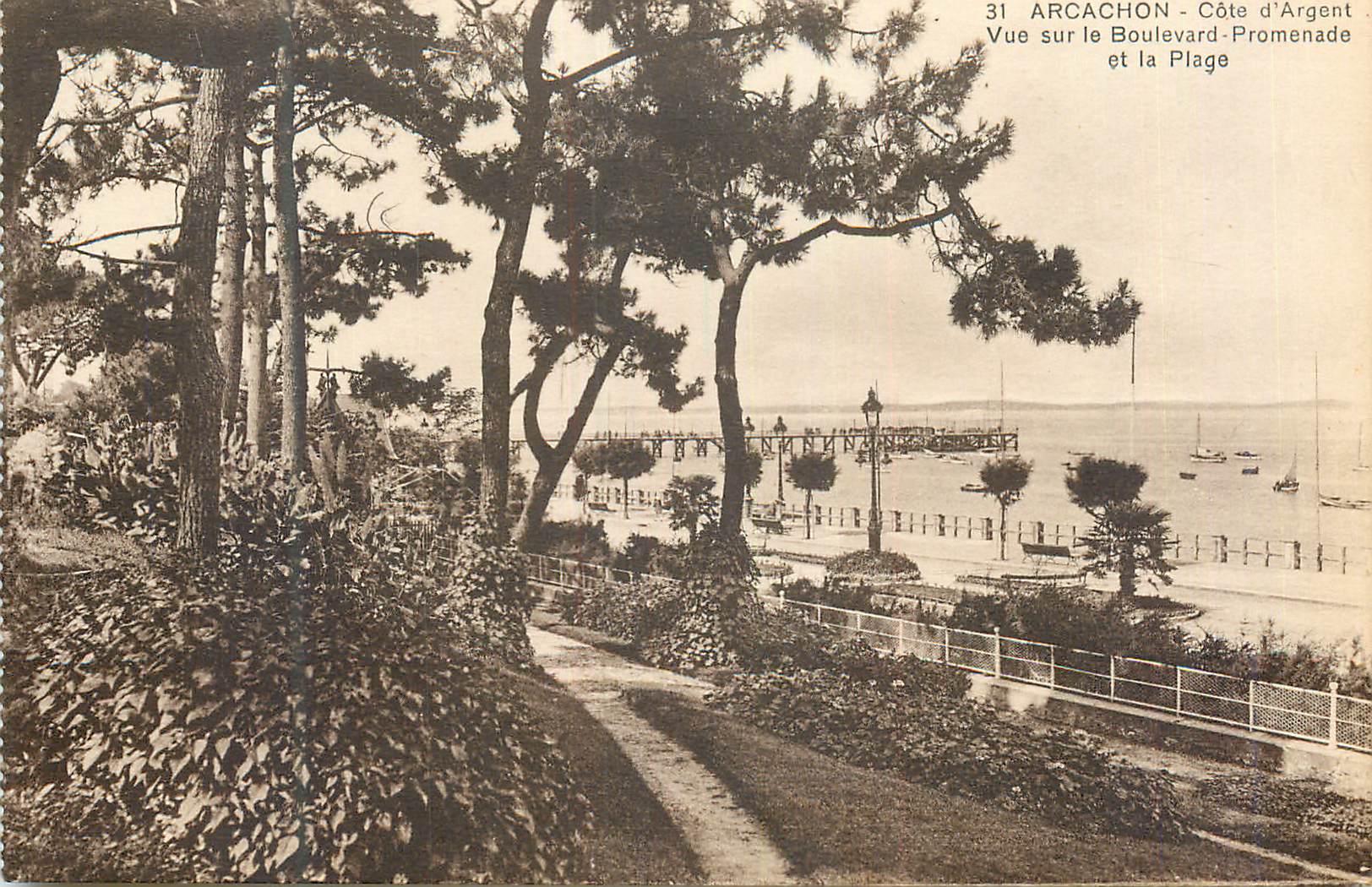 Arcachon - Côte d'Argent — Vue sur le Boulevard-Promenade et la Plage — n°31