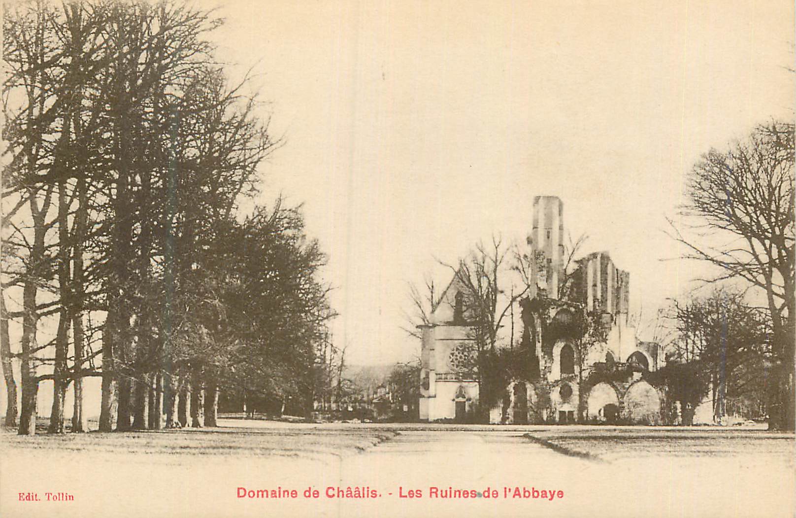 CPA Domaine de Chaalis Les Ruines de L'Abbaye