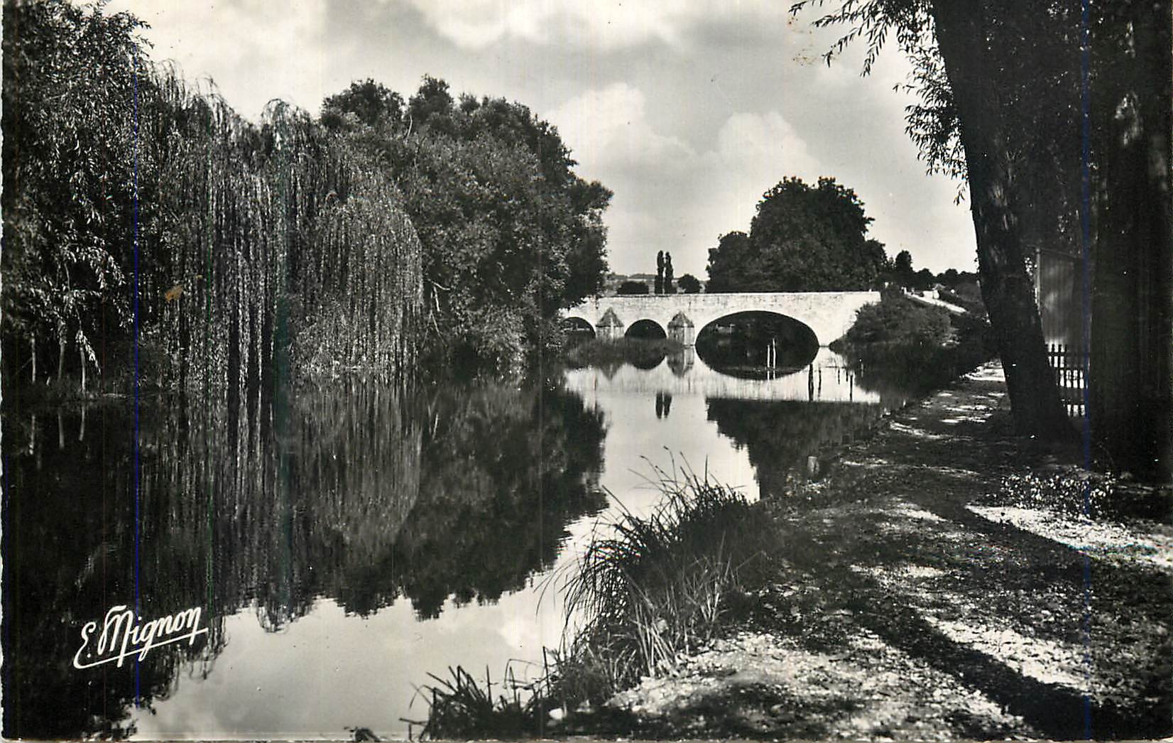 CPM Villeneuve sur Yonne (Yonne) La Fausse Riviere