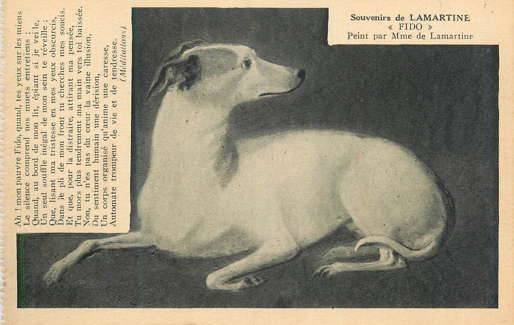 Souvenirs de Lamartine — « Fido » — Peint par Mme de Lamartine