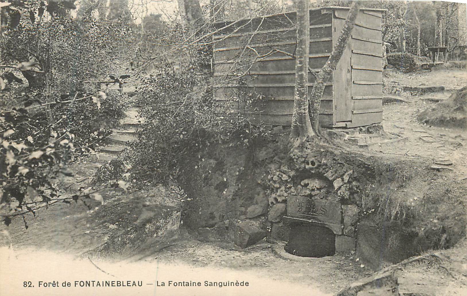 Wald von FONTAINEBLEAU — La Fontaine Sanguinée — n°82
