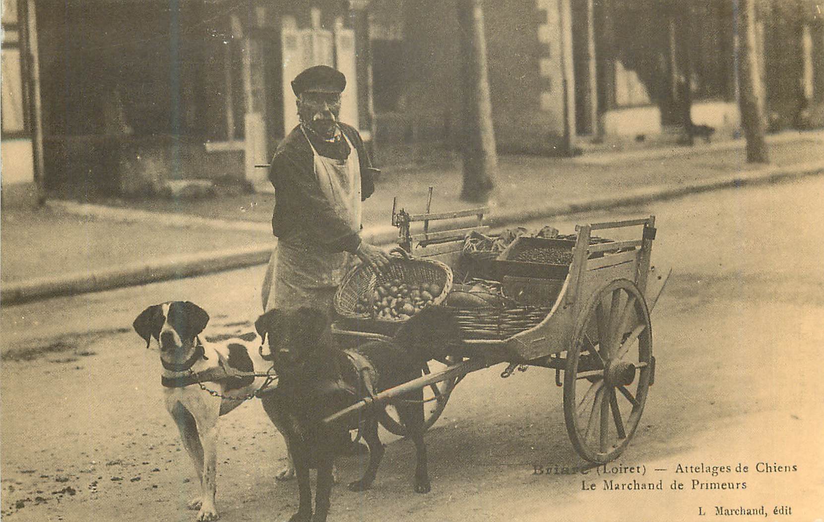 REPRO Loiret Attelages de Chiens Le Marchand de Primeurs Briare