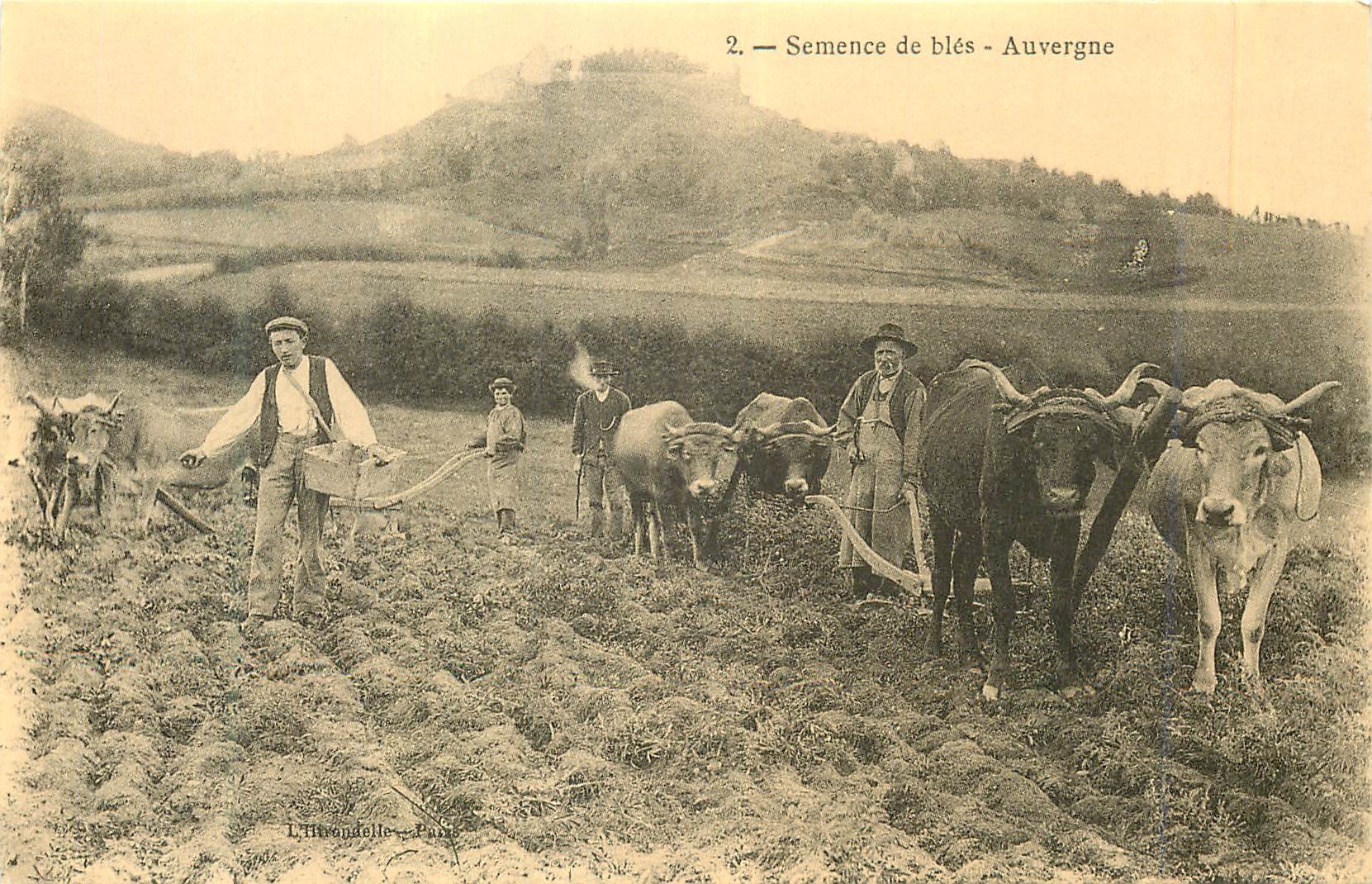 Semence de blés - Auvergne — L'Herondelle, Paris