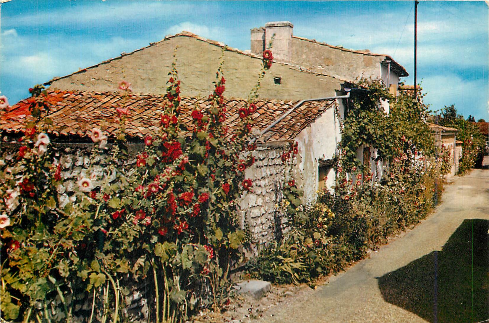 Talmont (Charente-Maritime) — Vieilles maisons et rues fleuries — ARTAUD Frères, Nantes