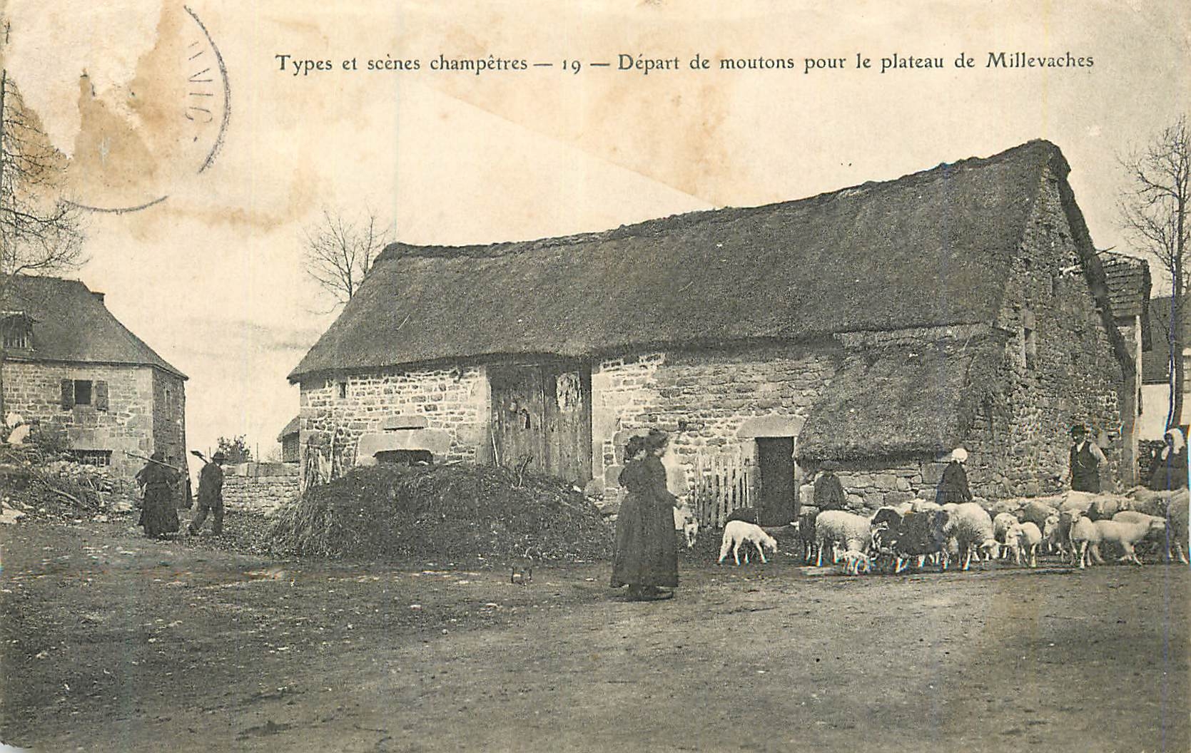 Départ de moutons pour le plateau de Millevaches — Types et scènes champêtres — 19 — Édition anonyme