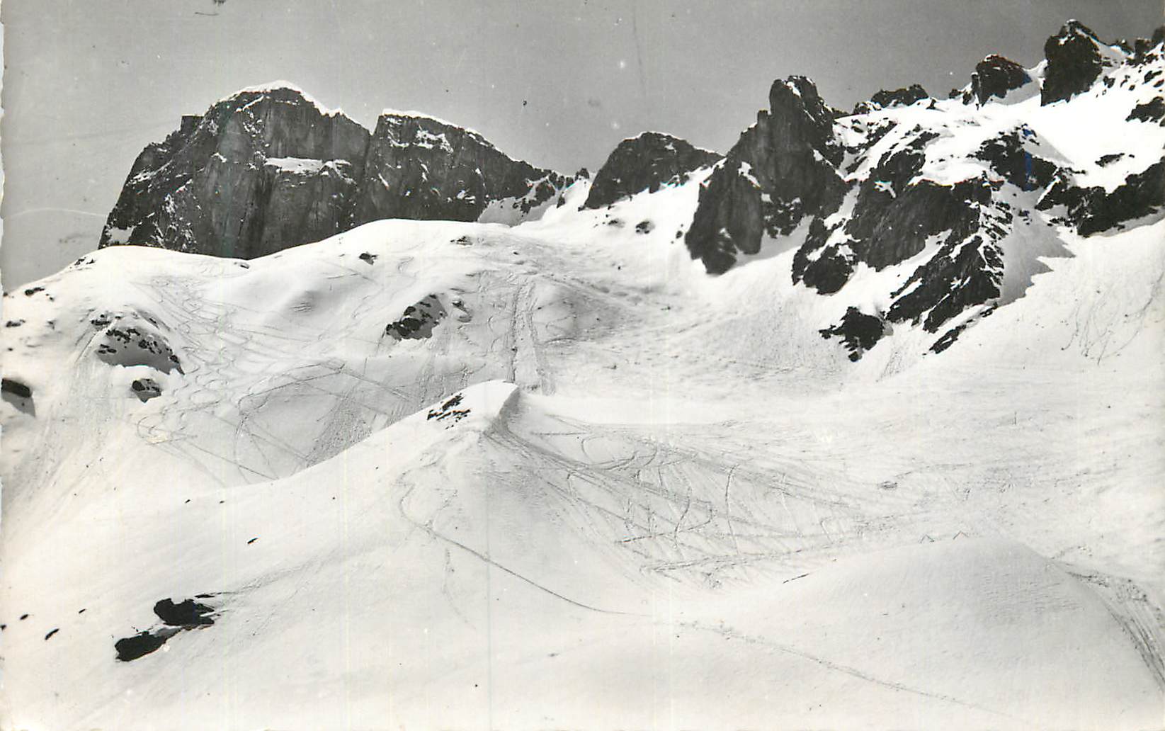 CPM Chamonix Mont Blanc 2445 Pistes du Brevent vues des Grillages