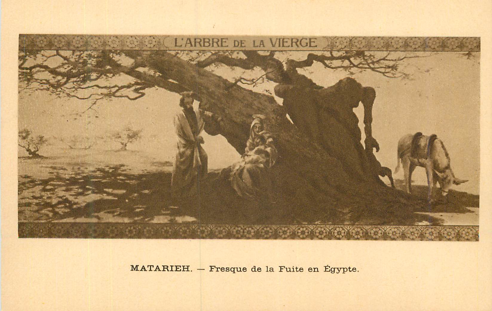 CPA l'Arbre de la Vierge Matarieh Fresque de la Fuite en Egypte