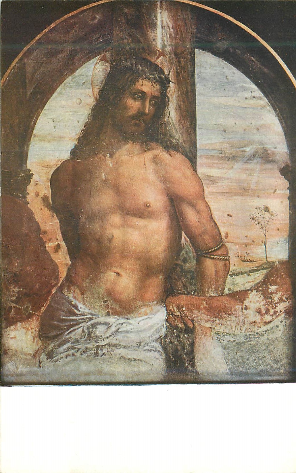 CPA Siena Accademia di Belle Arti Sodoma Cristo Alla Colonna