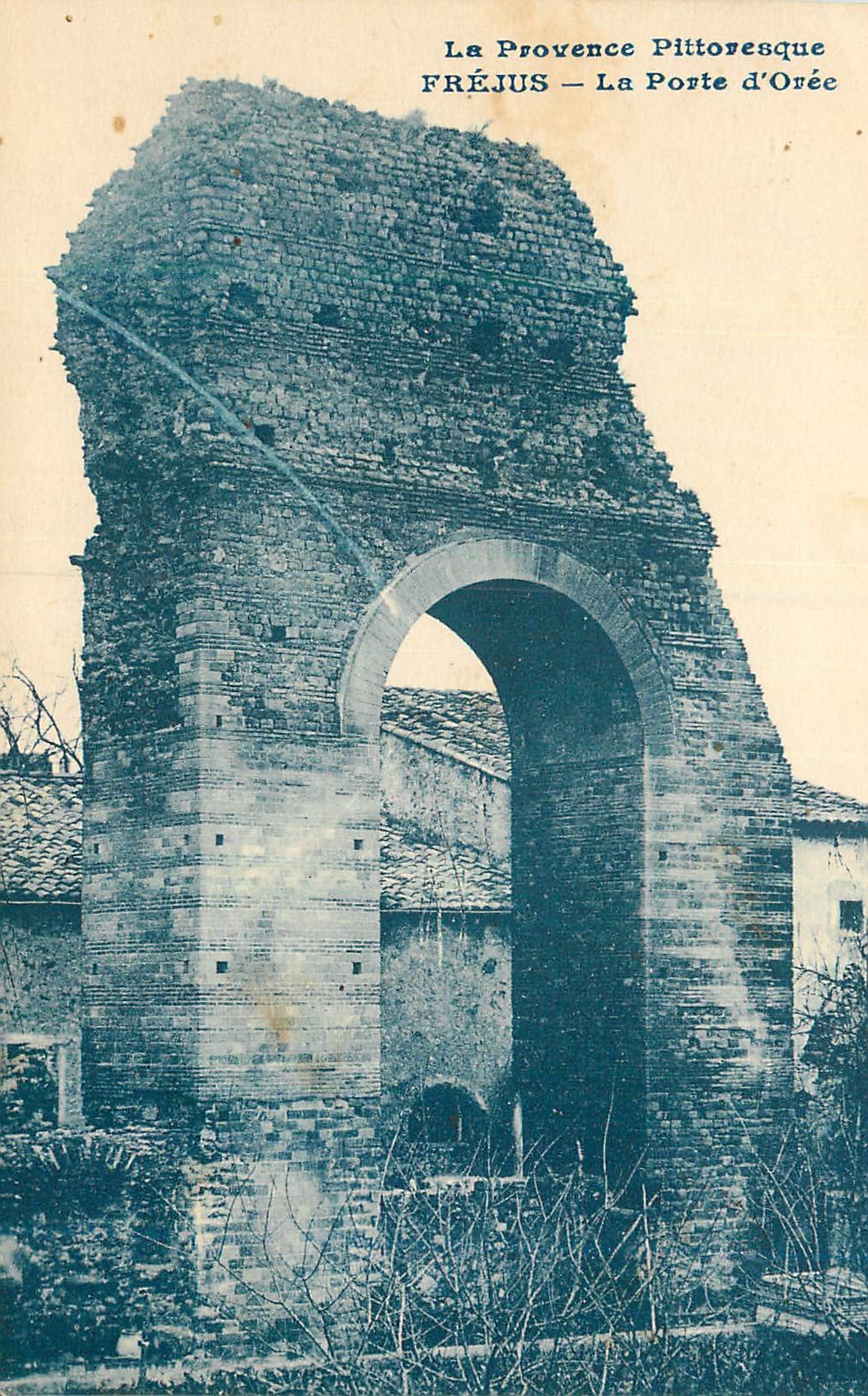 CPA la Provence Pittoresque Frejus la Porte d'Oree
