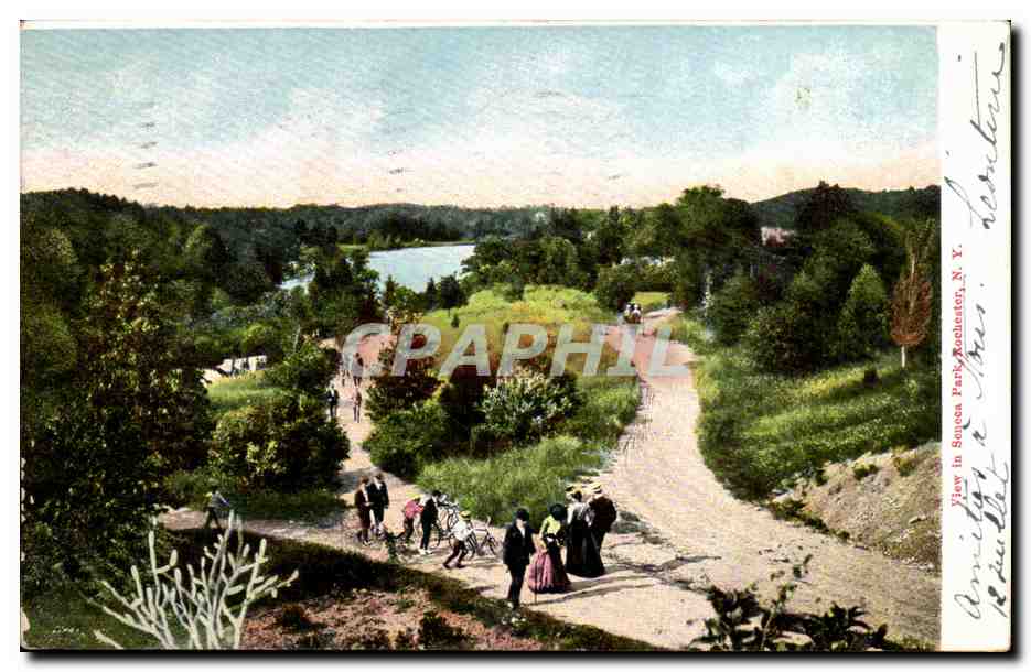 New York- View in Seneca Park Rochester- CPA