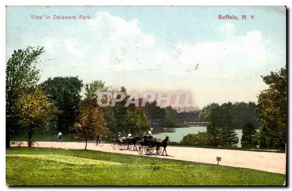 New York- View in Delaware Park- Buffalo- CPA