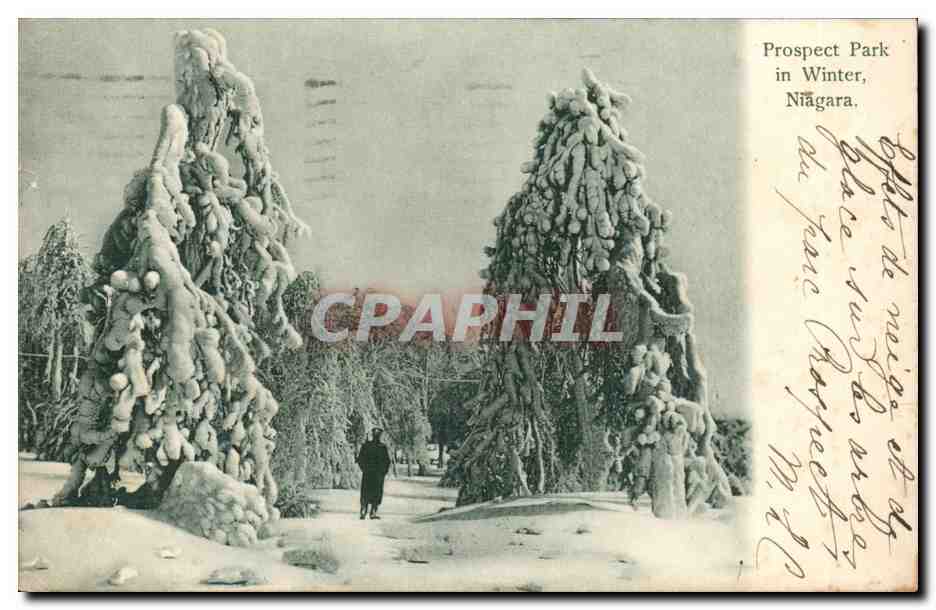 New York- Niagra- Prospect Park in WInter- CPA
