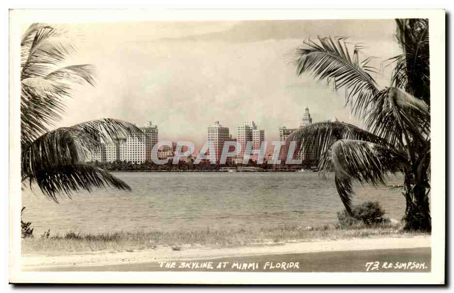 Florida- The Skyline At Miami Florida- Palm Trees- CPA