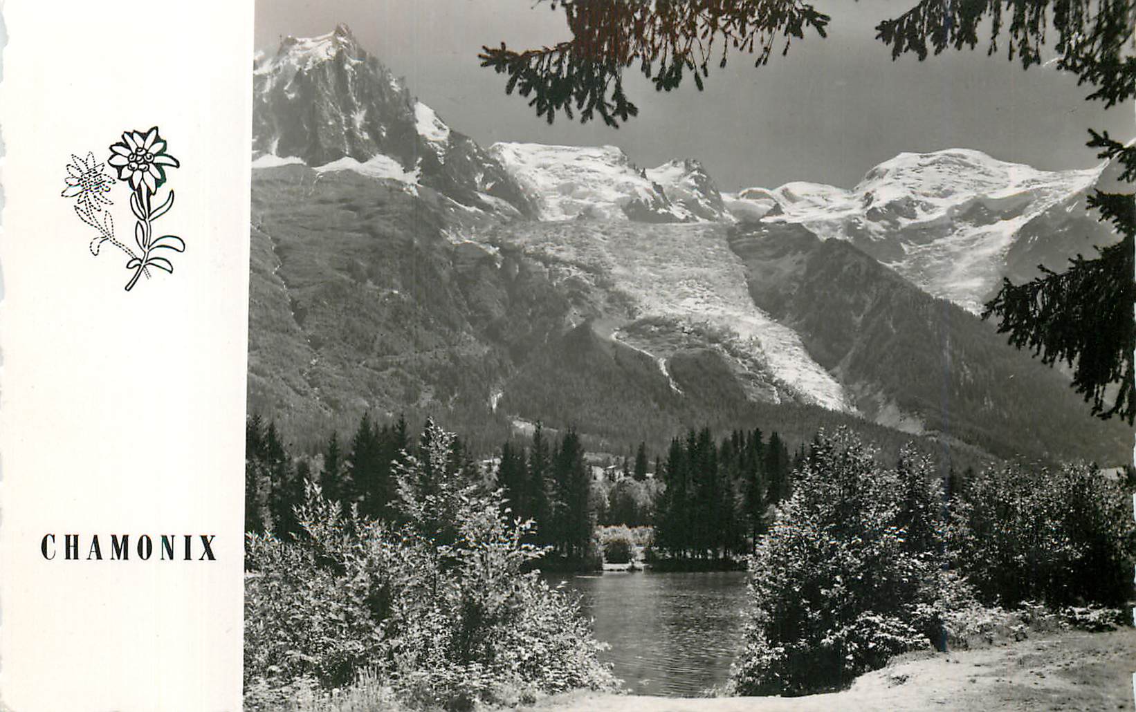 CPM Chamonix (haute savoie) alt 1050 m 31 le mont blanc vu du lac gailands