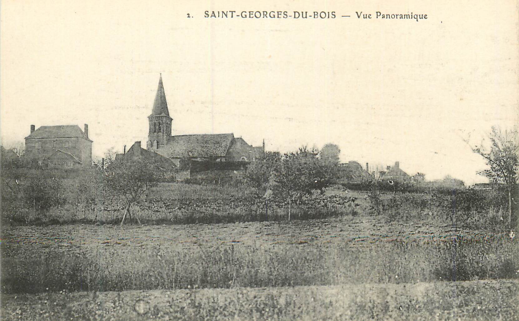 CPA Saint georges du bois vue panoramique