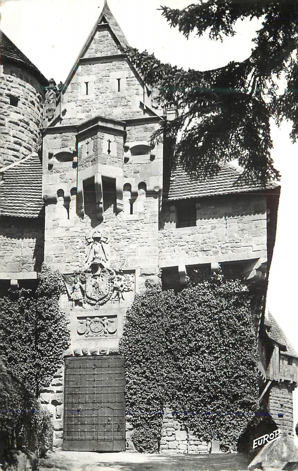 CPM 903 haut koenigsbourg (alt 75 m) porte  d honneur