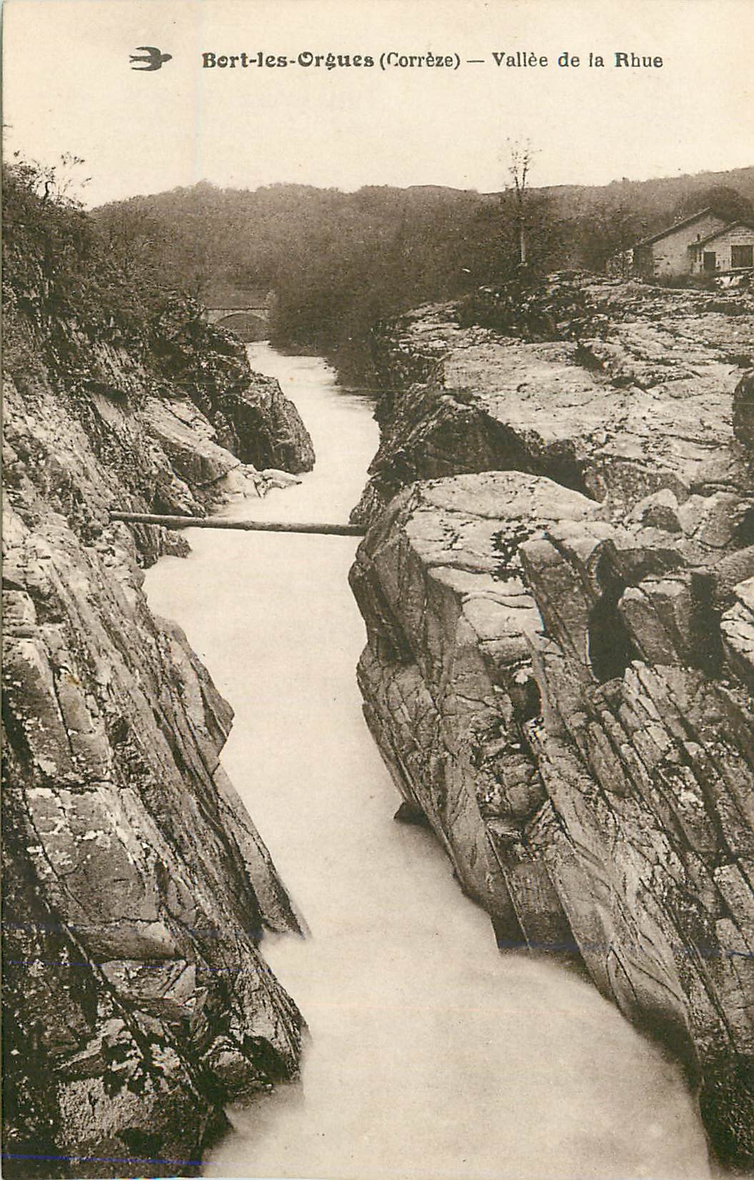 CPA Bort les orgues(correze) vallee de la rhue