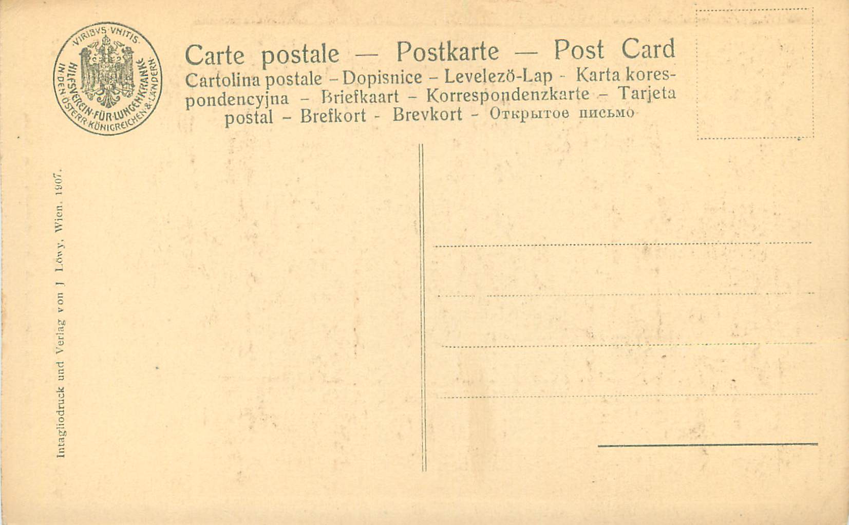 CPA Van dyck bildnis cines maunes — Verso