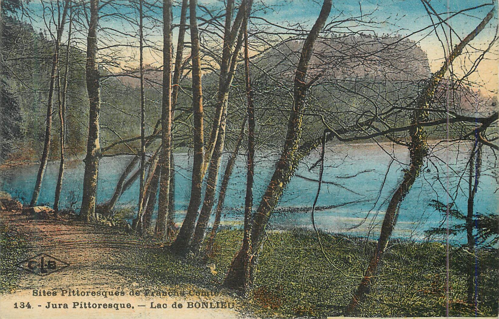 CPA Sites pittoresque de franche comte 134 jura pittoresque lac de bonlieu