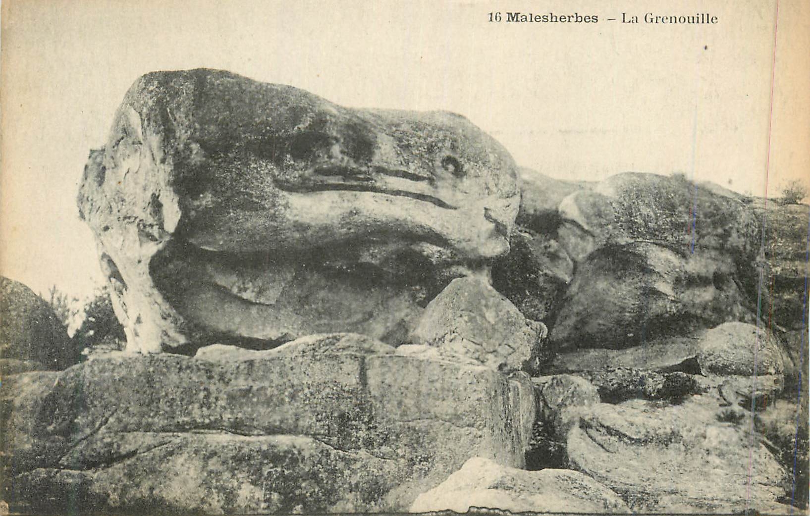 CPA 16 malesherbes la grenouille