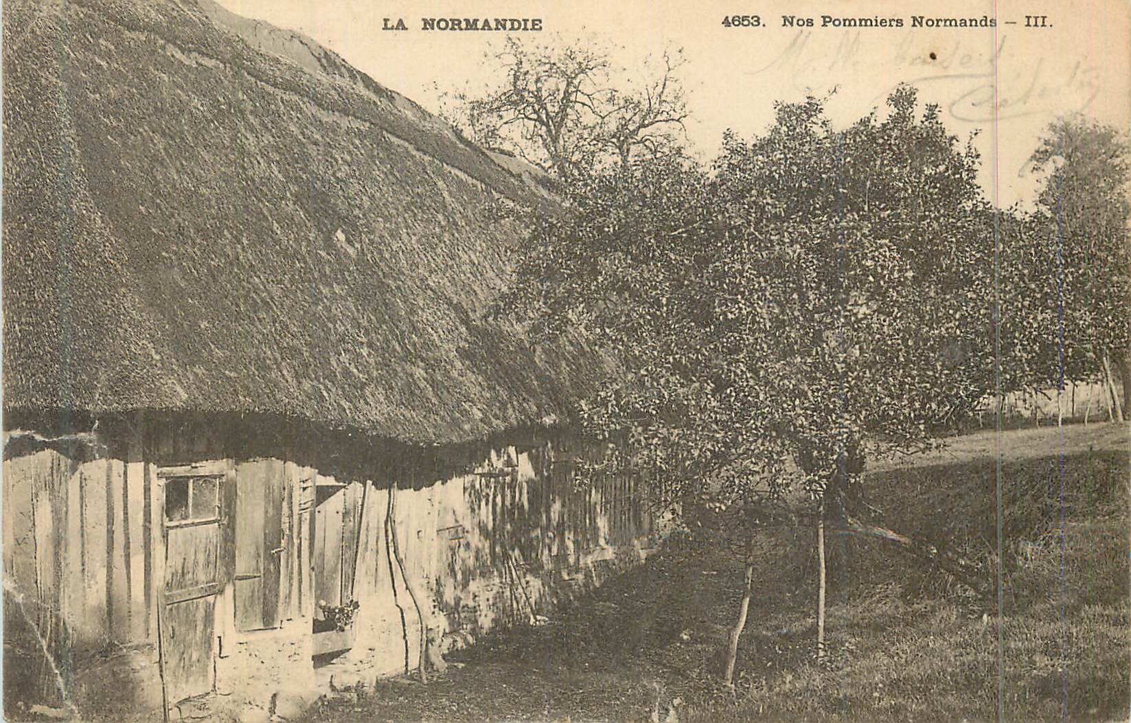 CPA La normandie 4653 nos pommiers normandie III