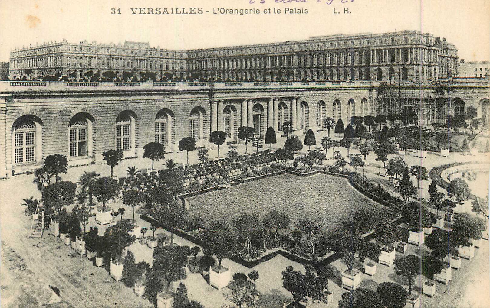CPA 31 versailles l orangerie et le palais