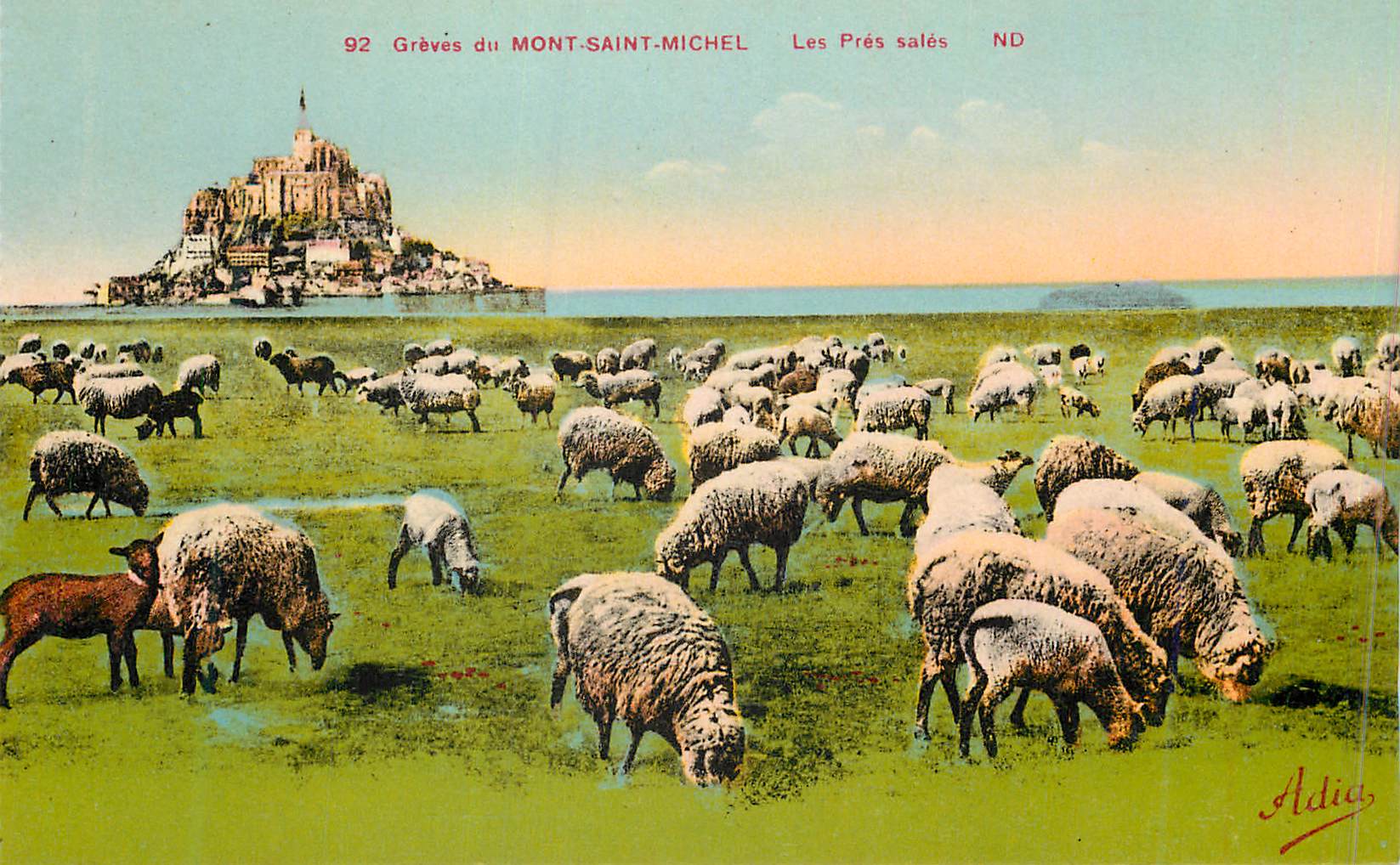 Grèves du Mont-Saint-Michel — Les Prés salés — Aldia