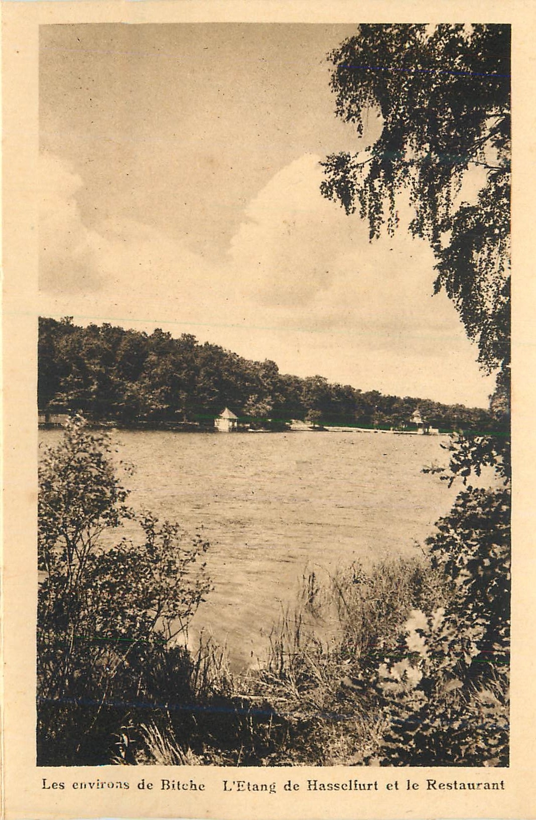 Les environs de Bitche — L'Etang de Hasselfurt et le Restaurant — Imp. d'Art Hélias, Bitche