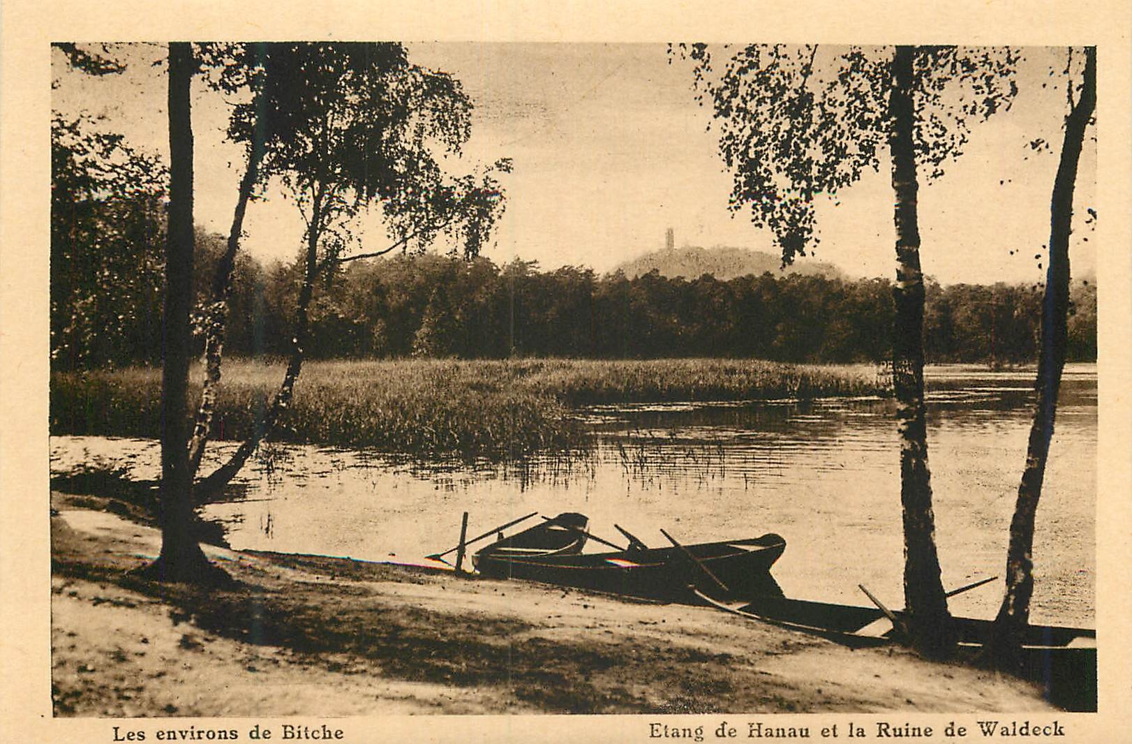 CPA Les environs de biche etang de hanau et la ruine de waldeck
