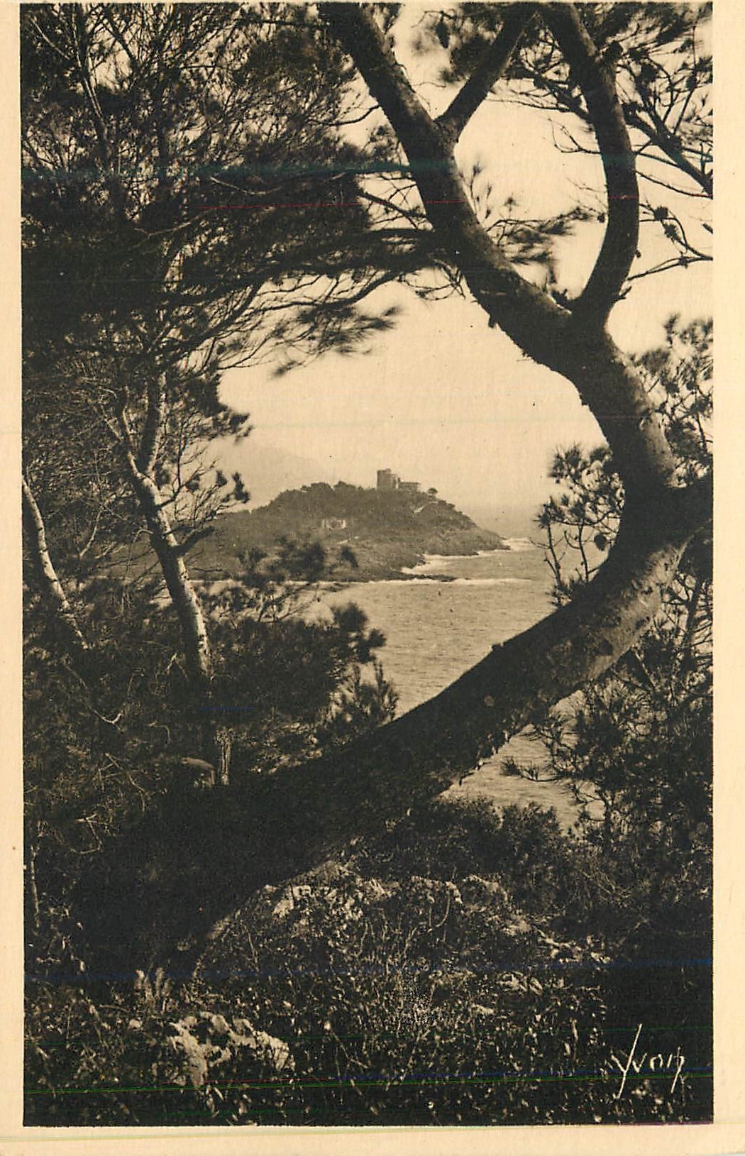 CPA La douce france 176 cote d azur la cap ferrat vu a travers les pins d alep
