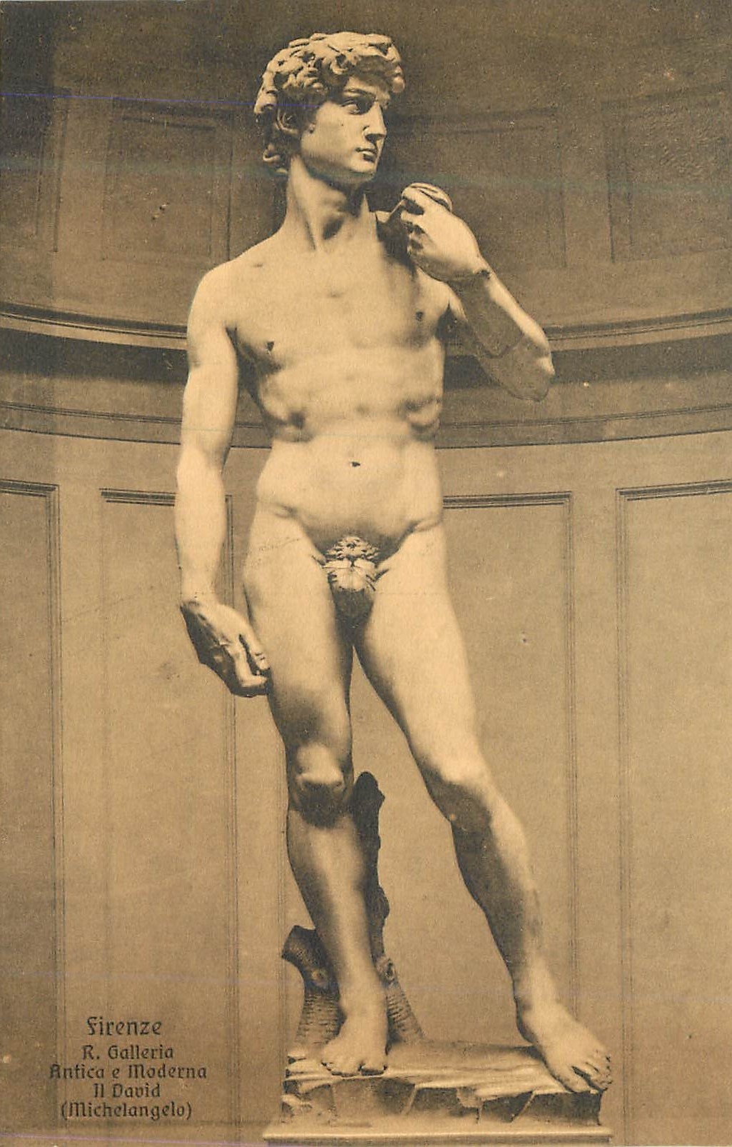 CPA Firenze r galleria antica moderna ii david(michelangelo)