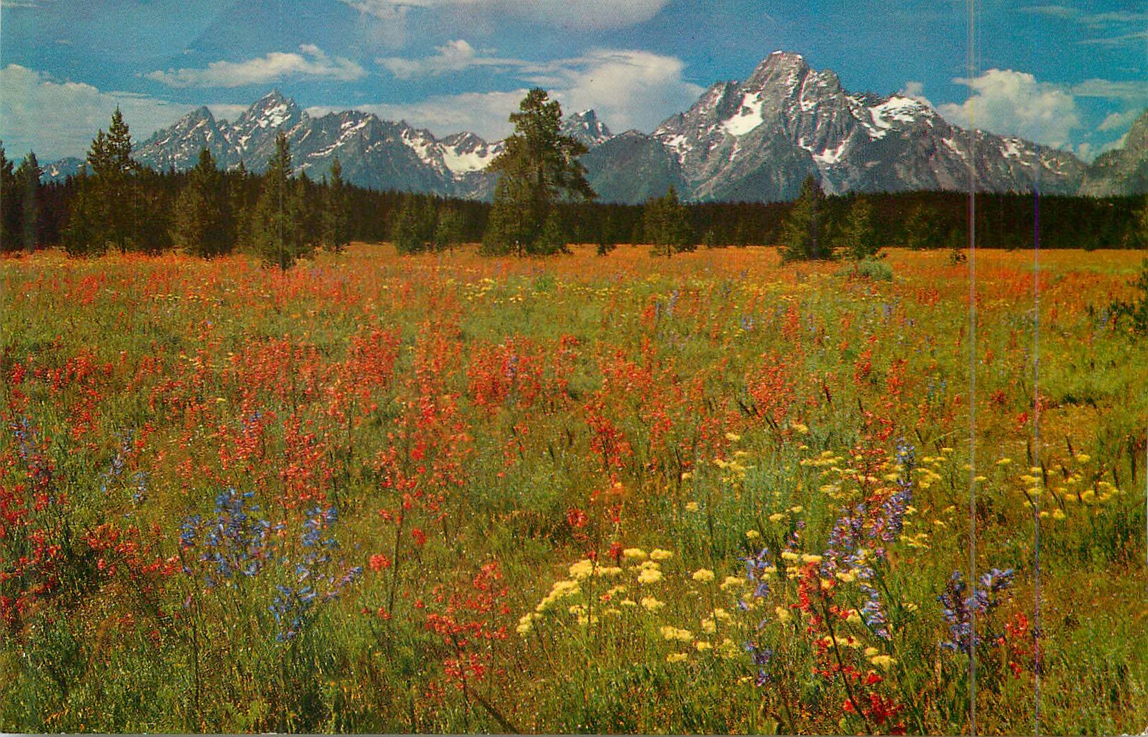 CPM Grand teton national park wyoming