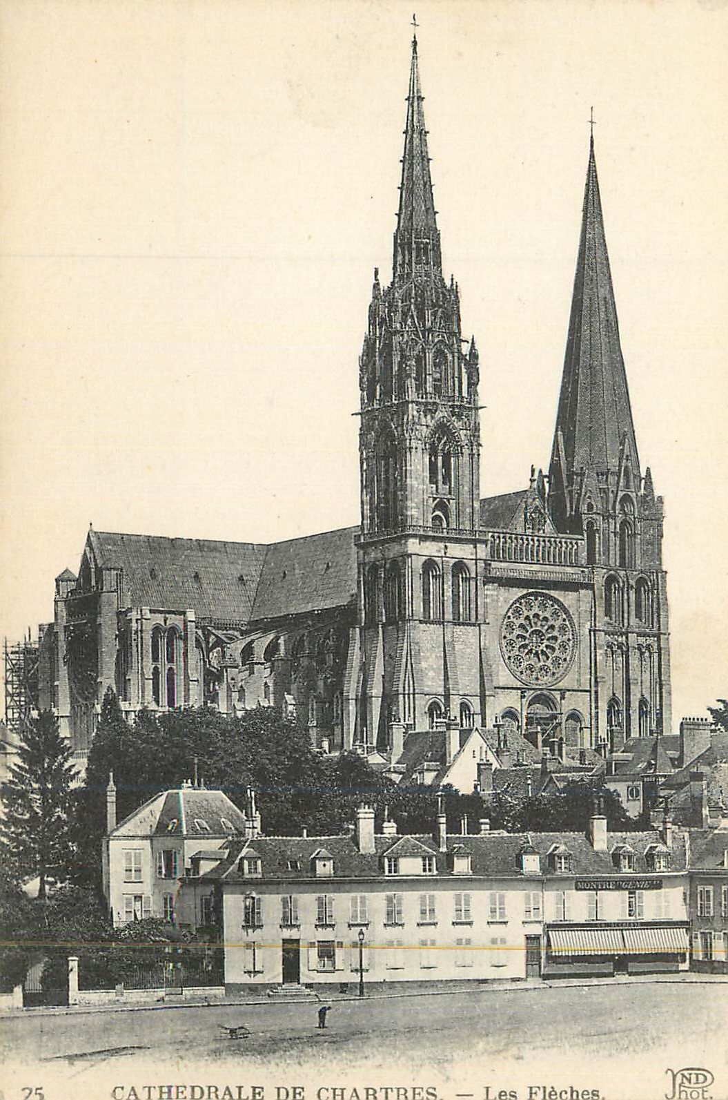 CPA Cathedrale de Chartres Les Fleches
