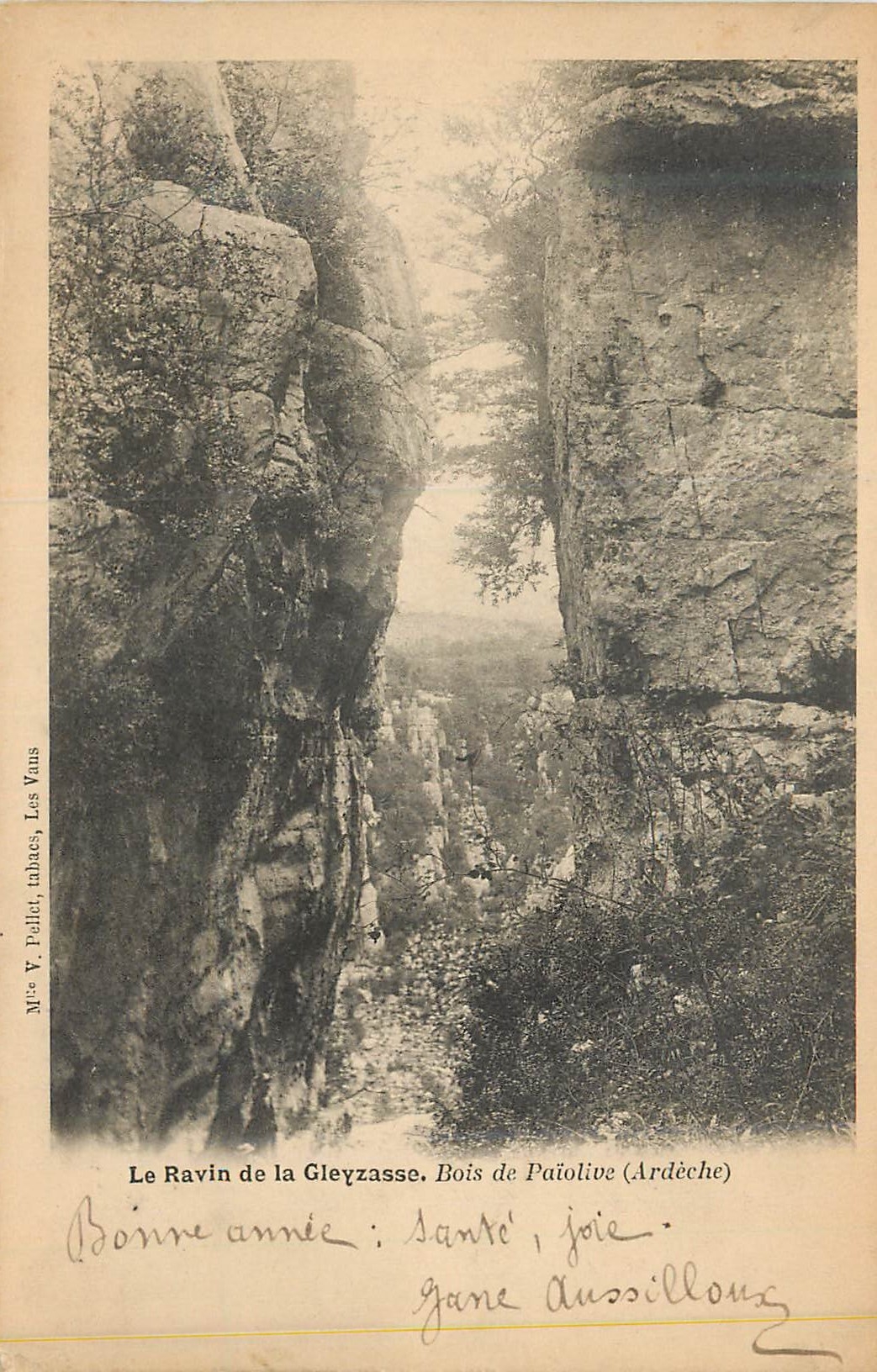 Der Gleyzasse-Abgrund — Wald Paiolive (Ardèche) — Mme V. Pelle, Tabakgeschäft, Les Vans