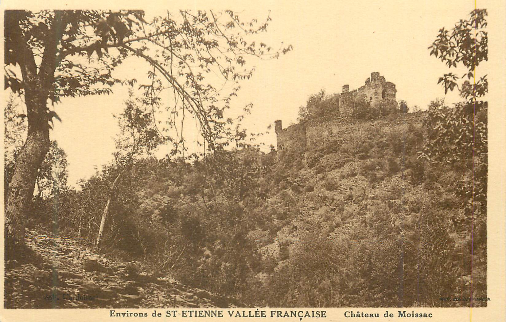 CPA Environs de St Entienne Vallee Francaise Chateau de Moissac